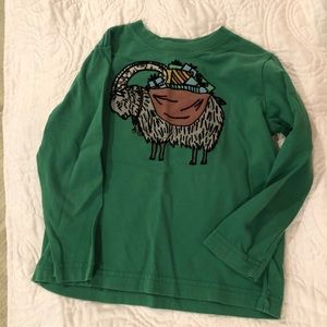 Hanna Anderson long sleeve tee